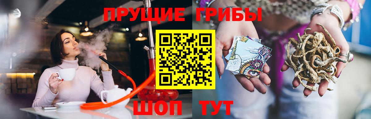 Галлюциногенные грибы ЛСД  сколько стоит  Вход с VPN  Волхов  Галлюциногенные грибы GOLDEN TEACHER 